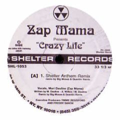 Zap Mama - Crazy Life 2006 - Shelter