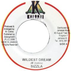 Sizzla - Chant Them Down - Kalonji Records