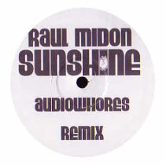 Raul Midon - Sunshine - Sunshine