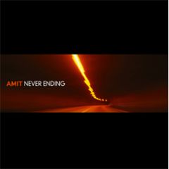 Amit - Never Ending Lp - Commercial Suicide