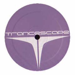 Timeqube - Construct - Tracescape 1