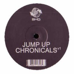 Unknown  - Jump Up Chronicles Vol 1 - 5HQ 