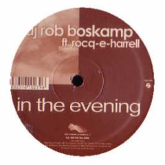 DJ Rob Boskamp - In The Evening - Nets Work