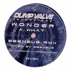 Wonder / Geeneus - What (Geeneus Remix) / Jamhot (Davinche Remix) - Dump Valve