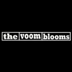 The Voom Blooms - Politics & Cigarettes - Fiction