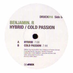 Benjamin R - Hybrid - Druck