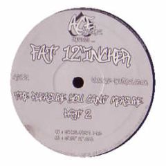Fat 12 Incher - The Pleasure You Cant Measure (Part 2) - Ace Records