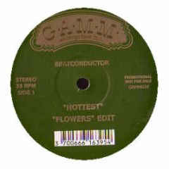 Beatconductor  - Hottest - Gamm