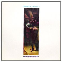 Amon Tobin - Permutation - Ninja Tune