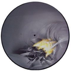 Breeze - Let's Fly (Picture Disc) - Infinity Recordings