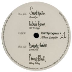Various Artists - Burntprogress Album Sampler 1.1 - Burntprogress