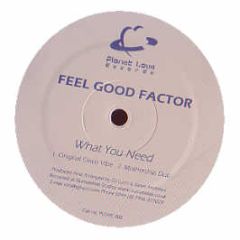 Feel Good Factor - What You Need - Planet Love Records 
