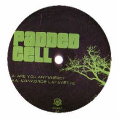Padded Cell - Are You Anywhere - Dc Recordings