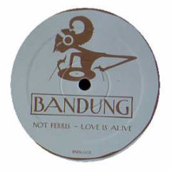 Not Ferris - Love Is Alive - Bandung