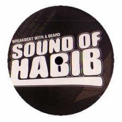 Random Source - Face Like A Robot - Sound Of Habib 
