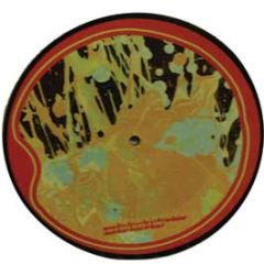 The Flaming Lips - The Yeah Yeah Yeah Song (Picture Disc) - Warner Bros