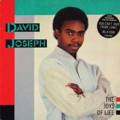 David Joesph - The Joys Of Life - Island