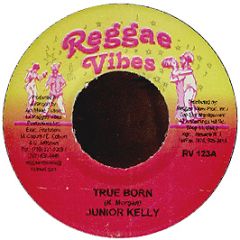 Junior Kelly - True Born - Reggae Vibes