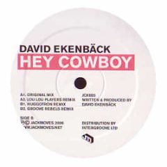 David Ekenback - Hey Cowboy - Jackmoves