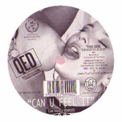 QED - Can You Feel It? (Coloured Vinyl) - United Nations