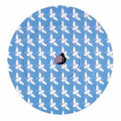 Various Artists - Buzzin' Fly (Volume 3) - Buzzin Fly Records