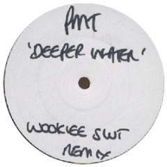 PMT - Deeper Water (Remixes) - Acetate