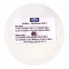 Avitas - Remixes (Volume 1) - Thirteen Rec 1