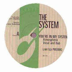 The System & Atmosphere - You'Re In My System - Ibadan