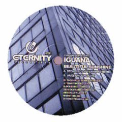 Fred Baker Pres Iguana - Beautiful Sunshine - Eternity 1