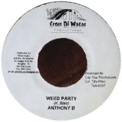 Anthony B - Weed Party - Cross Di Watas Productions