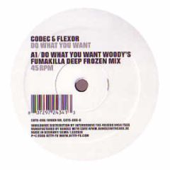 Codec & Flexor - Do What You Want - Kitty-Cuts 6