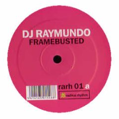 DJ Raymundo - Framebusted - Radikal Rhythm