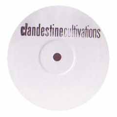 Various Artists - First Offensive EP - Clandestine Cultivations