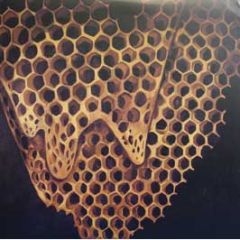 Telefon Tel Aviv - Map Of What Is Effortless - Hefty Records