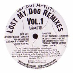 Various Artists - Lost My Dog Remixes (Volume 1) - Lost My Dog