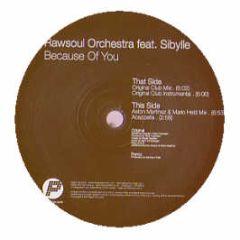 Rawsoul Orchestra Ft Sybille - Because Of You - Player Records