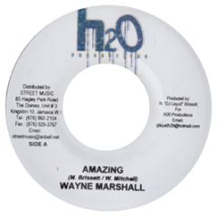Wayne Marshall - Amazing - H20 Productions