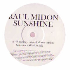 Raul Midon - Sunshine (Wookie Mix) - Raul 1