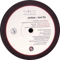 Joshua - Soul Fly - Red Parrot