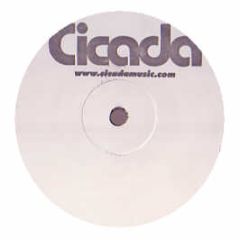Cicada - Tricks - Electric Blue 1