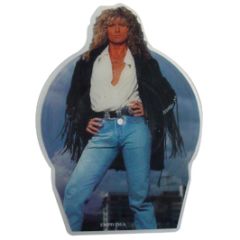 Whitesnake - Now You'Re Gone (Picture Disc) - EMI