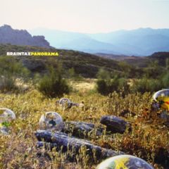Braintax - Panorama - Low Life