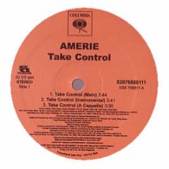Amerie - Take Control / That's What U R - Columbia
