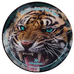Survivor - Eye Of The Tiger (2006 Remix) (Picture Disc) - Attention