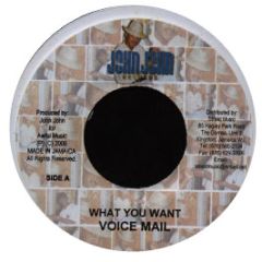 Voice Mail - What You Want - John John Records