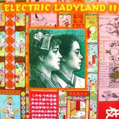 Various Artists - Electric Ladyland 2 - Mille Plateaux