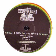 Ray Keith - I Bring You The Future (Breakage 4 Remix) - Knowledge & Wisdom 10
