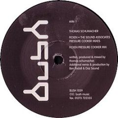 Thomas Schumacher - Ficken (Remixes) - Bush