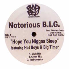 Notorious Big - Hope You Niggas Sleep - Bad Boy
