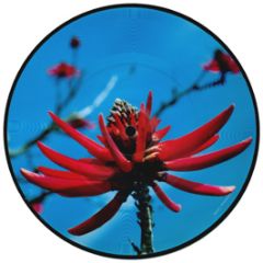 Depeche Mode - Precious (Picture Disc) - Mute